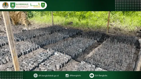 Sosialisasi Pelestarian Lingkungan Hidup
